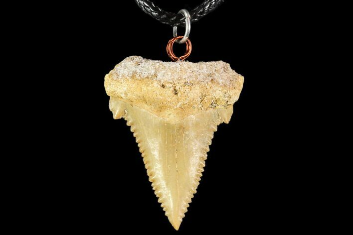 Fossil Shark (Palaeocarcharodon) Tooth Necklace -Morocco #110253